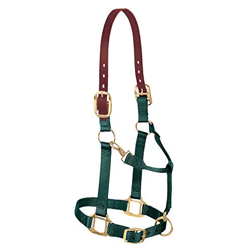 Weaver Equine Breakaway Horse Halter, Supple Leather Crown, Adjustable Brass Throat Snap Halters for Horses, Equine Tack - color: Hunter Green