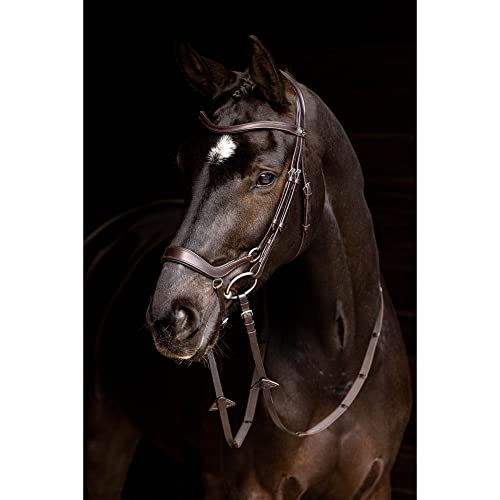 LeMieux Arika Drop Bridle - color: Brown/Silver, size: Pony