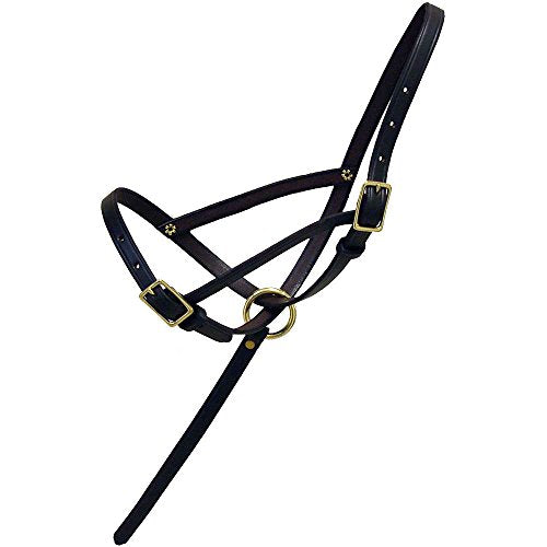 Intrepid International Leather Foal Slip Halter with Grab Strap, Brown