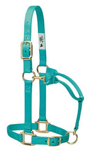 Weaver Leather Original Adjustable Nylon Horse Halter, Large Horse, Mint
