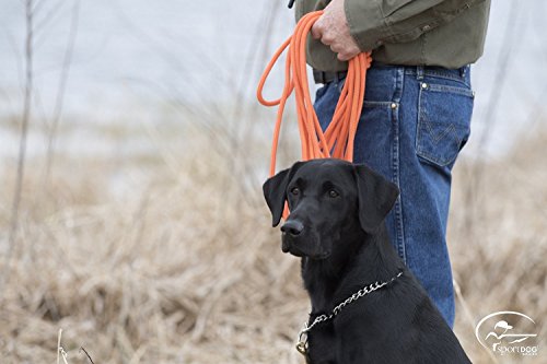 SportDOG Orange Check Cord - High-Visibility Floating Check Cord - Lightweight Tangle-Free Long Dog Training Lead with Heavy-Duty Brass Snap