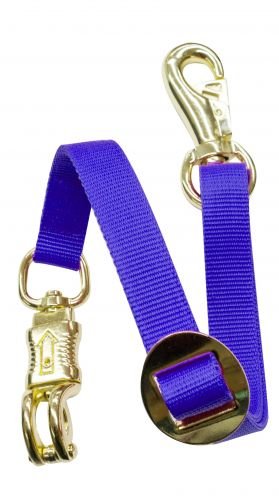 Fully Adjustable Flat Nylon Trailer Tie - color: Blue