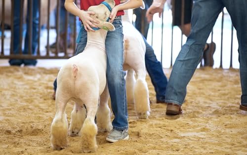 Show FresH2O Livestock Water Treatment for Drinking Water - Effectively Eliminates Chlorine & Removes Related Odor in Drinking Water, Easy to Use, Treats Up to 150 Gallons of Chlorinated Water - 16oz - size: 16 oz