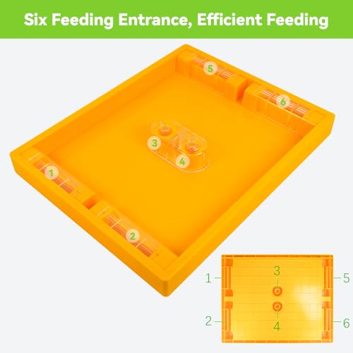 2 Pack Beehive Feeder for Beehive Langstroth 10 Frame Beekeeping Supplies 1.2 Gallon, Bee Top Feeder for Feeding Water or Sugar Cake to Bee Hives Beekeeping Feeder Equipment - size: 2 pcs