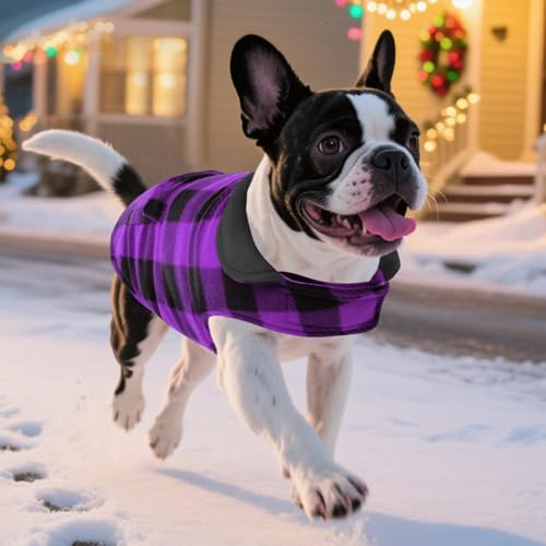 ASENKU Reversible Dog Winter Coat, Dog Jacket for Small Medium Large Dogs - color: Purple, size: X-Small