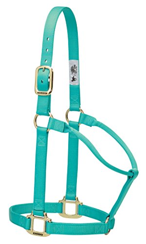 Weaver Leather Original Non-Adjustable Nylon Horse Halter, Yearling, Mint