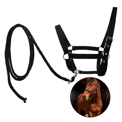 Adjustable Nylon Horse Halter & Matching Lead Set for Horses - color: BLACK