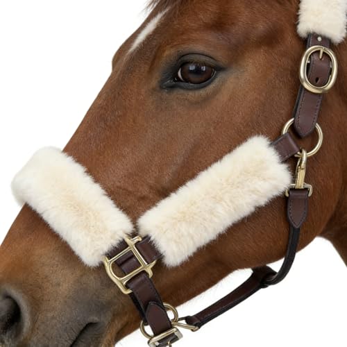 Genuine Wool Horse Halter Cover, 4 PCS Merino Sheepskin Horse Halter Set - color: Ivory White