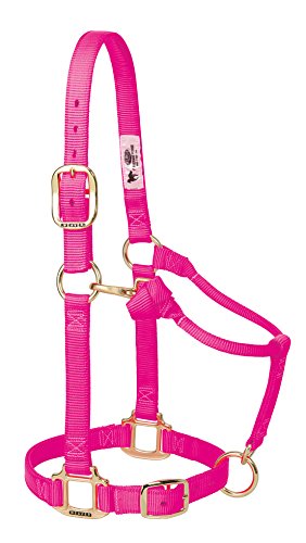 Weaver Leather Original Adjustable Nylon Horse Halter, Large Horse, Diva Pink