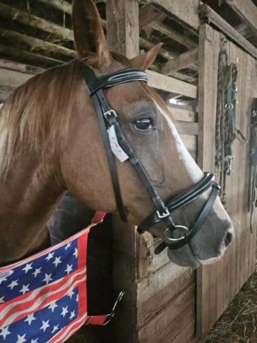 Macmillan Dressage Bridle with Laced Reins