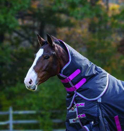 HIGHLANDER PLUS 300 NECK COVER (Large, Navy)