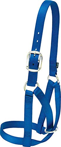 Weaver Livestock Barn Cow Buckle Cattle Halter, Adjustable, Modern Style Cow Calf Halter, Livestock Handling Equipment for Showing, Black - color: Blue