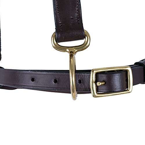 Schneiders Premier Leather and Rope Control Halter for Horses | Superior Horse Control | Enhanced with Rope Pressure Points | Double Ply Leather | Ideal for Young and Hot Horses - size: Full Size