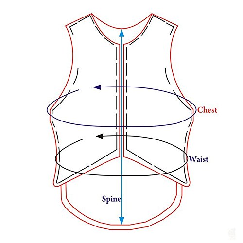 HILASON Protective Riding Safety Vest Adult Unisex Equestrian Barrel Racing Rodeo - size: X-Large