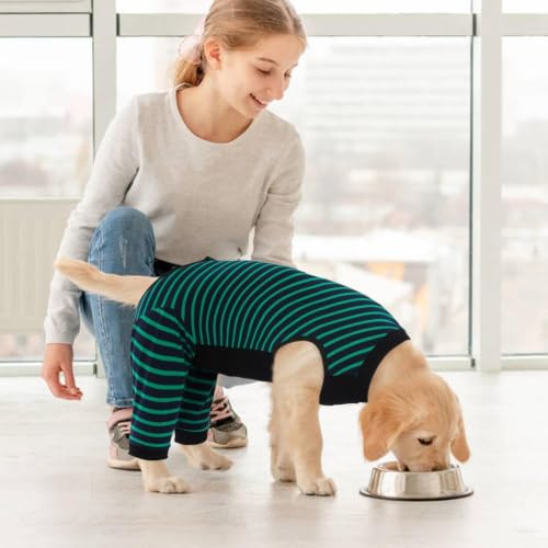 Kuoser Dog Recovery Suit with Anti Licking Rear Leg Sleeve, Green M - color: Green Strips, size: Medium (Back Length: 34cm / 13.38")