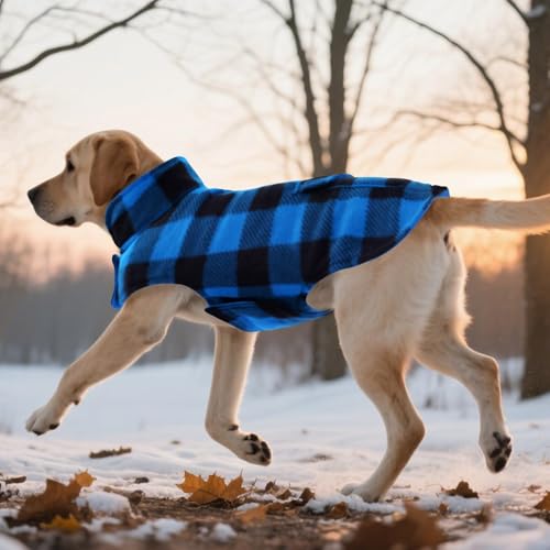 ASENKU Reversible Dog Winter Coat, Dog Jacket for Small Medium Large Dogs - color: Blue, size: X-Small