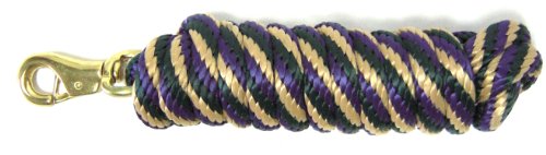 Hamilton Extra Heavy Poly Rope Lead with Bull Snap, Dark Green/Tan/Purple Striped Pattern Weave, 5/8" Thick x 10' Long - color: Striped/Green