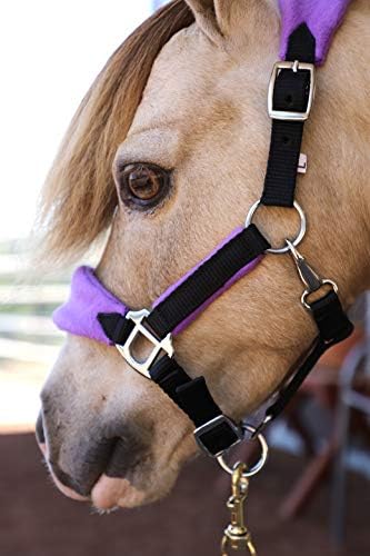 Star Point Horsemanship Mini-Pony Fleece Halter - color: Purple, size: Large 35-38"