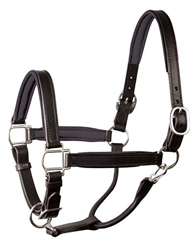 Perri's Horse Soft Padded Leather Halter - color: Black/Black/Stainless