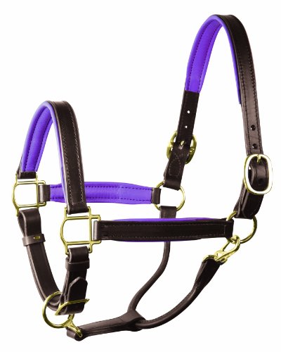 Perri's Horse Soft Padded Leather Halter - color: Havana/Purple