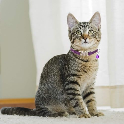 BINGPET Cat Collar Breakaway with Bell, Bling Kitten Collar,Pink&Purple - color: Heart (Pink + Purple)-2pcs