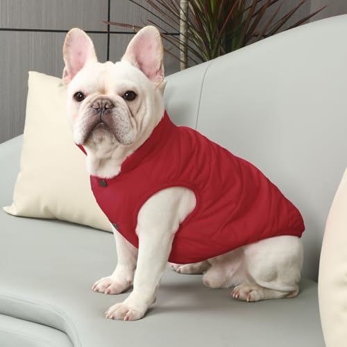 JoyDaog Fleece Lined Dog Jacket for Small Dogs,Winter Dog Coat,Red M - color: Red, size: Medium