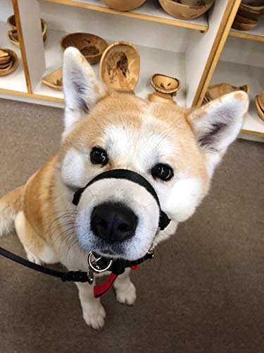 BARKELSS Gentle Dog Head Collar, Adjustable Padded Dog Halter | Dog Halter to Stop Pulling, Soft and Safety Control on Walks, Includes 1 Leash, Training Guide for Breeds - size: M
