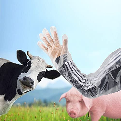 50 Disposable Field Dressing Gloves Veterinary Insemination Rectal Long Gloves, Extra Long Sleeve Full Arm - color: Transparent