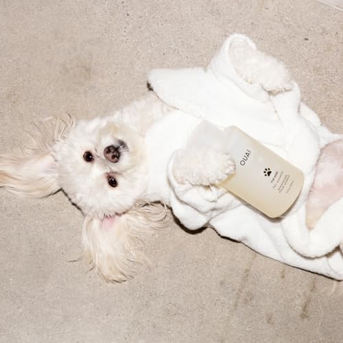 OUAI Fur Bébé Pet Shampoo - Mercer Street Scent (16 Fl oz)