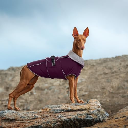Lelepet Dog Jackets for Small Dogs Waterproof Dog Coat with Adjustable Fit - color: Dark Purple, size: M