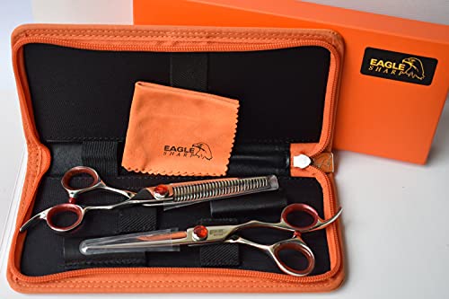 Professional 6.0-inch Shears Cutting &Thinning Scissors Kit Convex Edge Hairdressing Scissors Set 440C Steel Stainless Japanese Process with Free Fine Orange Leather Case - style: 6 Inch Cuting & Thinning