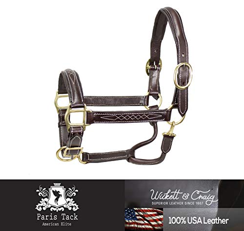 Derby Originals American Elite Fancy Stitch Padded Adjustable Halter - size: Over-Size