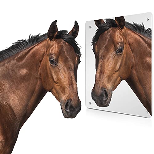 Sukh Acrylic Horse Mirror - 16.92 x 12.99 in Non Glass Stall Mirror