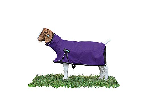 Weaver Leather Livestock ProCool Mesh Goat Blanket with Reflective Piping