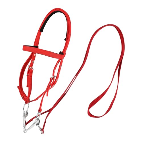 Draft Horse Bridle Anti-Tear Horse Riding Headstall | Equine Snaffle Noseband, Adjustable Soft Lined Equestrian Browband for Outdoor Use - size: Large