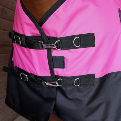 Waterproof 1200 Denier Adjustable High Neck Midweight Turnout Blanket - color: Teal - Black, size: 69