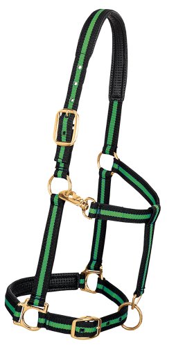 Weaver Leather Padded Adjustable Nylon Horse Halter, Green, 1" Large Horse