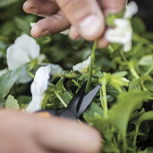 Fiskars 6" Non-Stick Pruning Snips, Resin-Resistant Garden Scissors, 2-Pack | Garden Shears for Weeds, Flower Buds & Small Plants, Steel Blades Stay Sharp, Easy Action Spring, SoftGrip Handles - style: Non-Stick Snips (2-Pack)