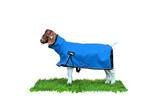 Weaver Leather Livestock ProCool Mesh Goat Blanket with Reflective Piping, Blue, Medium