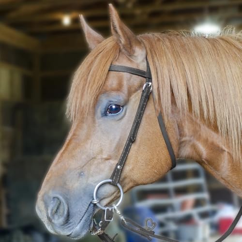 Tahoe TackKickin Country Square Browband Headstall USA Leather - color: Black, size: Pony