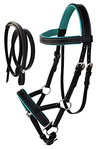 CHALLENGER Horse Western Brown Leather Training Tack Bitless Sidepull Bridle Reins 7711 - color: Black/Teal, size: Cob