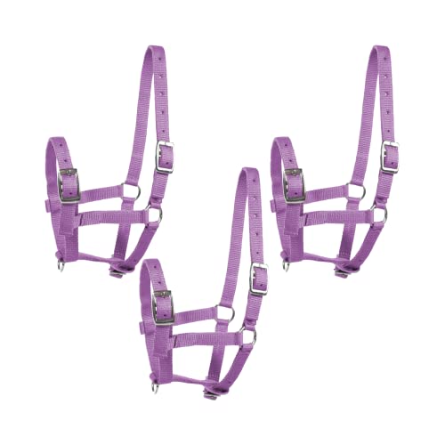 HORZE Adjustable Small Horse Halter for Foals, Colts, Fillies, Shetlands (Pack of 3)