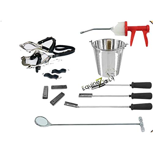 Equine Dental Kit Set Hau’sman Speculum Horse with Basic Items 3 Float Set, 300ml Syringe, 45mm Mirror, 10 litres Bucket Professional Veterinary Horse Dental Equipment for Equine Oral Care