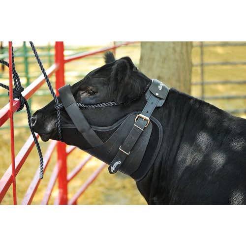 Weaver LivestockWeaver Leather Dressage Whip, 36" Shaft, Black - color: Black, size: Large