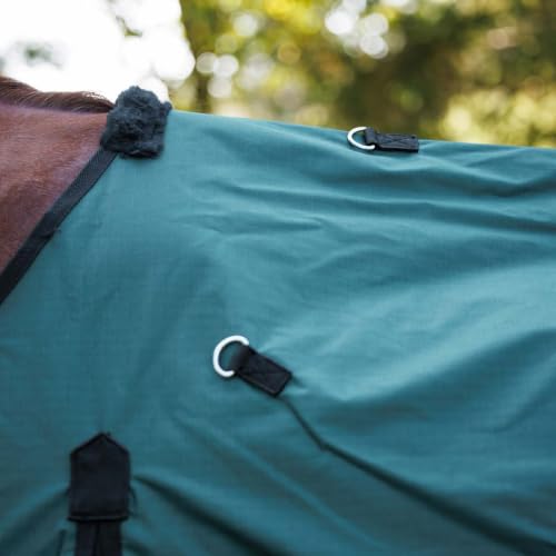 Country Pride Cascade Rainsheet for Horses, Waterproof 600D Turnout, Adjustable Double Buckle Front, Bias Surcingle, Removable Elastic Leg Straps, Shoulder Gussets, Tail Cover, Hunter Green/Black (80) - size: 80