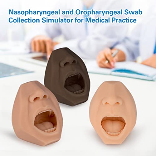 Nasal Swab Training Model, Throat and Oral Swab Collection Simulator, White - color: white