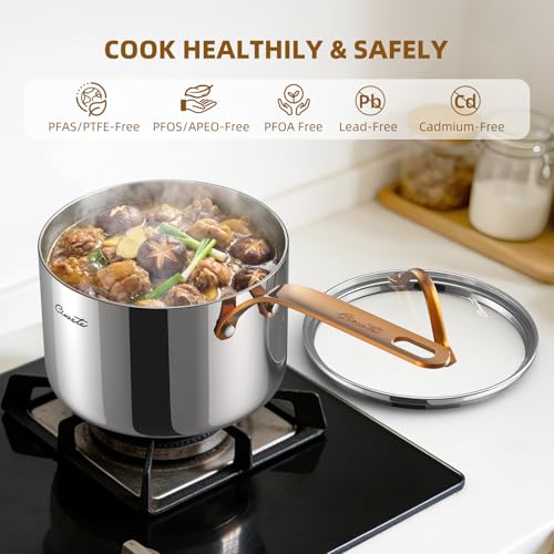 Ciwete 3 Quart Sauce Pan with Lid, Upgraded Tri-Ply Stainless Steel Saucepan with Mirror Polishing and 2 Scales, Induction Ready Cooking Pot with Stay-Cool Brass Handle, Dishwasher & Oven Safe - size: 3 Quart (with brass handle)