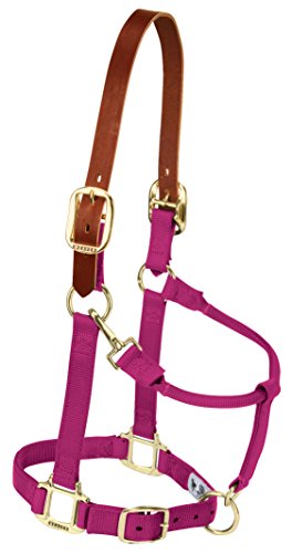 Weaver Leather Adjustable Breakaway Nylon Horse Halter