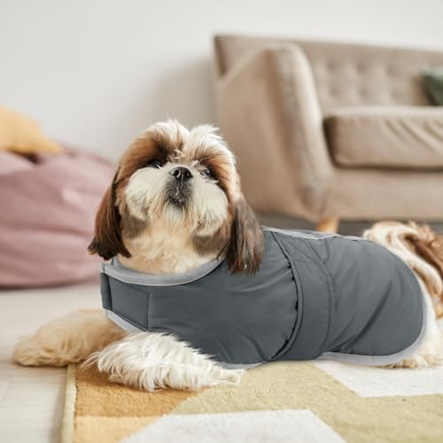 Queenmore Dog Winter Coat, Cold Weather Fleece Dog Jacket, Small Dog Coat - color: Grey, size: X-Small
