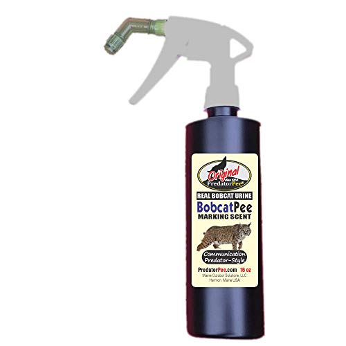 PredatorPee Real Bobcat Urine Natural Predator Scent Outdoor Garden - size: MS 16 oz